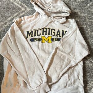 Champion Michigan Hoodie
